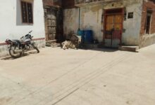 WhatsApp Image 2026 04 14 at 1.28.08 PM