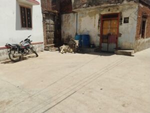 WhatsApp Image 2026 04 14 at 1.28.08 PM