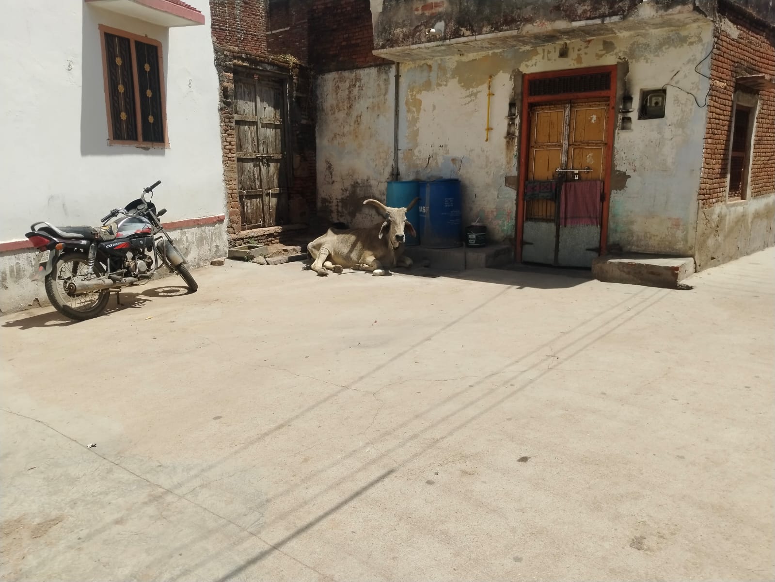 WhatsApp Image 2026 04 14 at 1.28.08 PM