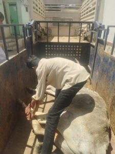 WhatsApp Image 2026 04 14 at 1.28.09 PM