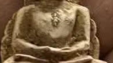 WhatsApp Image 2026 04 14 at 9.13.15 AM